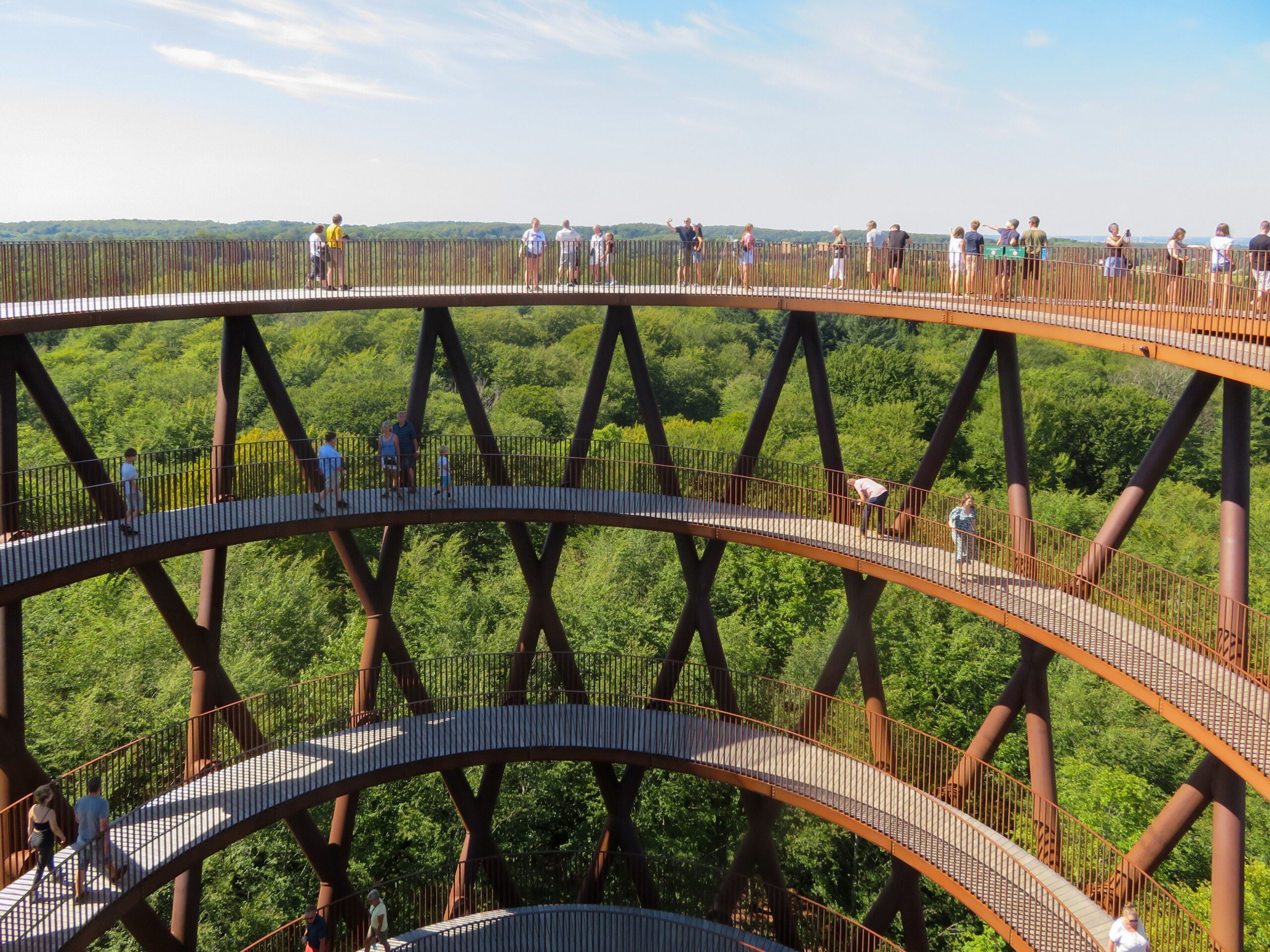 Skovtårnet ved Camp Adventure omgivet af skov