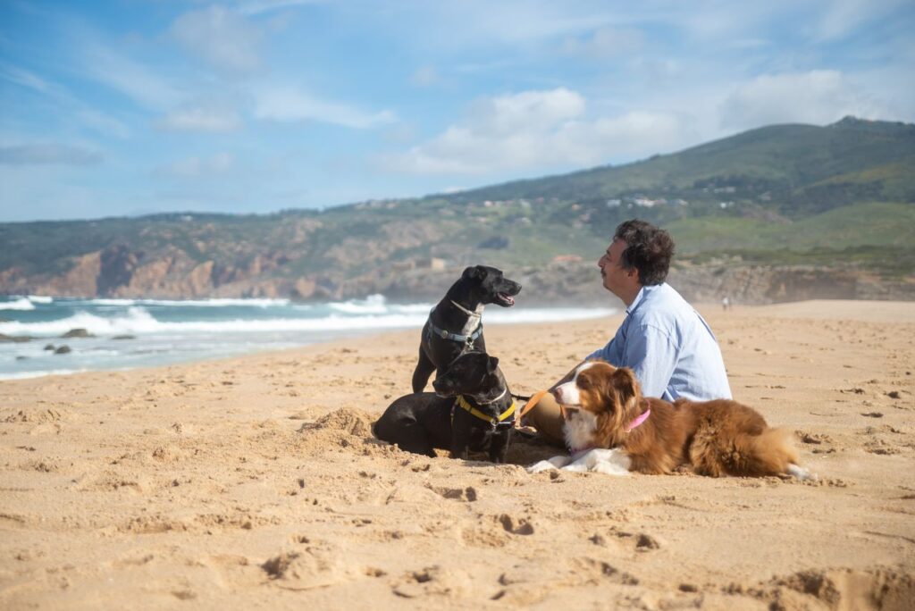 A man enjoying a sunny day sitting with his dogs on a picturesque beach in Portugal.