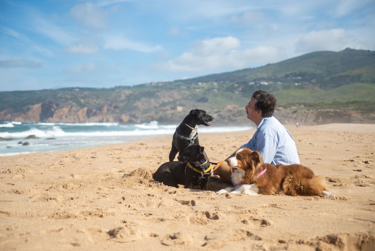 A man enjoying a sunny day sitting with his dogs on a picturesque beach in Portugal.