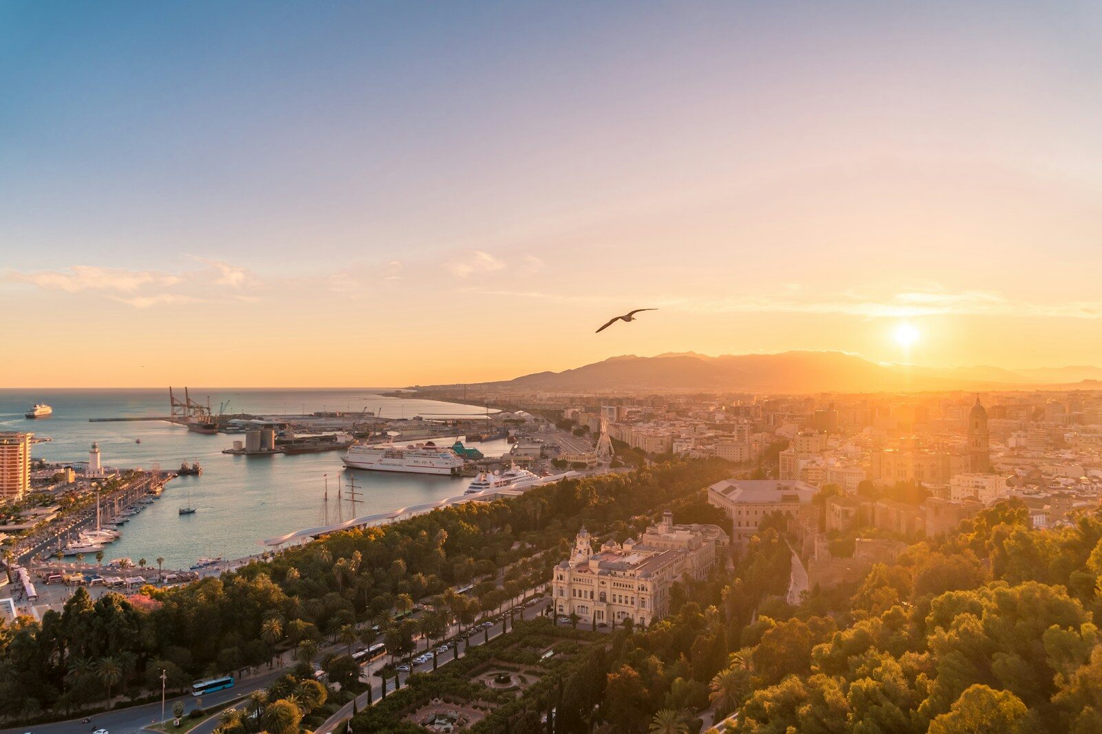 Udsigt over Málagas havn, palmer og byens tage ved solnedgang