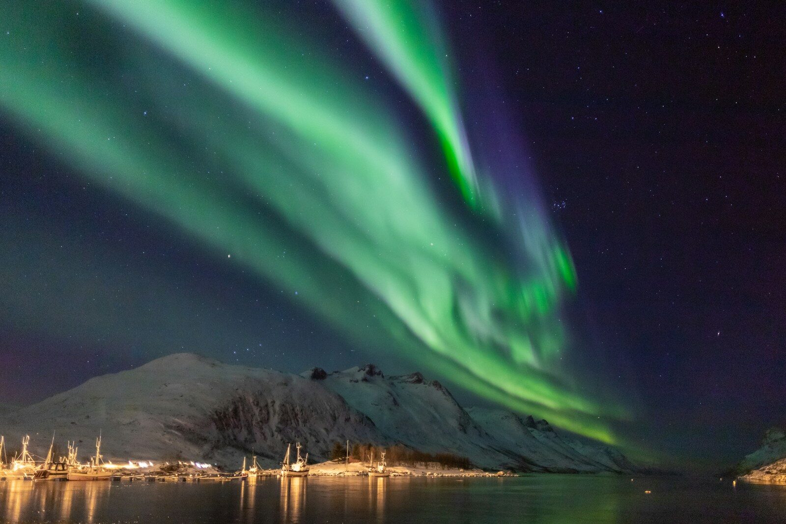 Grønt nordlys over fjeld og fjord ved Ersfjord nær Tromsø i Norge